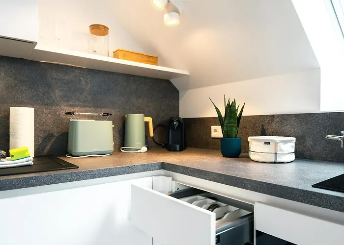 Apartman Luxuswohnung Am Steinhuder - Tierfreundlich - D *